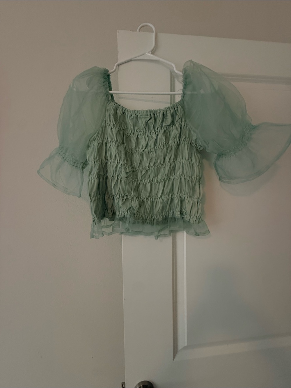 Sheer Puff-Sleeve Smocked Crop Top - Sage Green